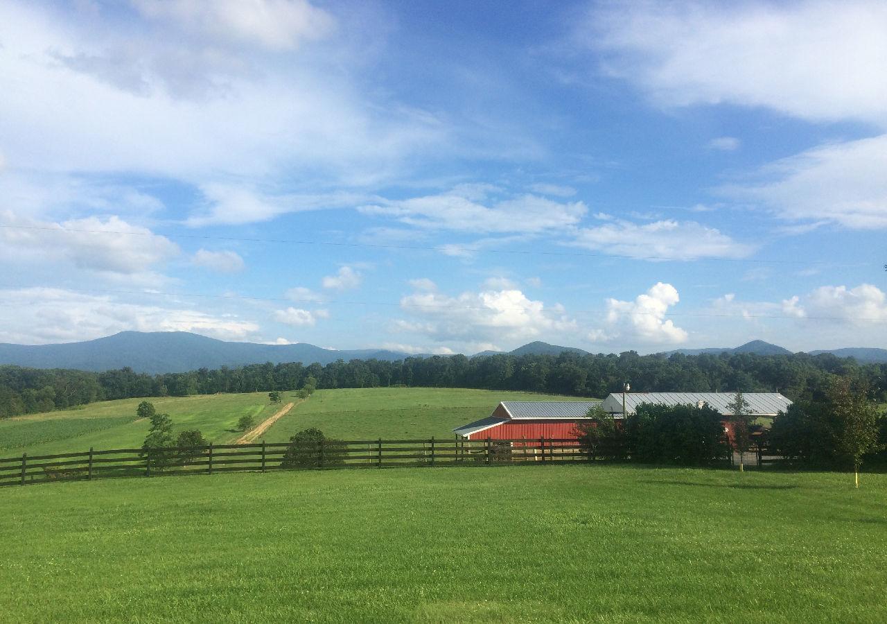Piney Hill B&B And Cottages Luray Exterior foto